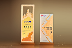 太阳成集团tyc234cc官网国际一举斩获“2024年度中国区最佳雇主”等多项大奖